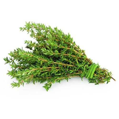 Thyme 10 g Combo