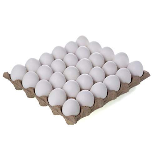 Eggee Omega 3 Provita+ White Eggs Tray