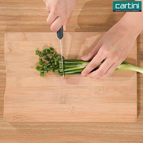 Godrej Cartini Easy Chopping Knife - Teal