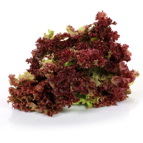 Lettuce Red