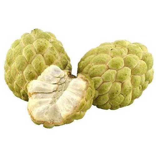 Custard Apple (Sitafal) Semi Ripe
