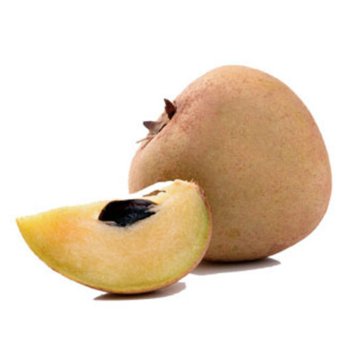 Chikoo 