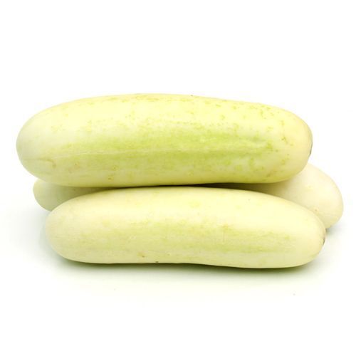Cucumber White (Pandhri Kakdi) 500 g Combo