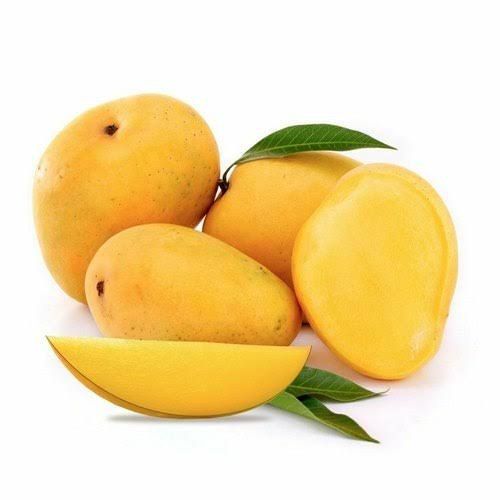 Organic Mango Banganapalli