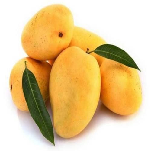 Mango Badami - South Alphonso