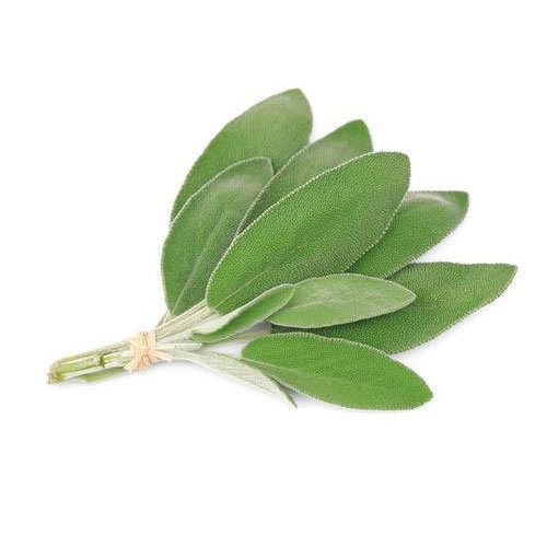 Sage