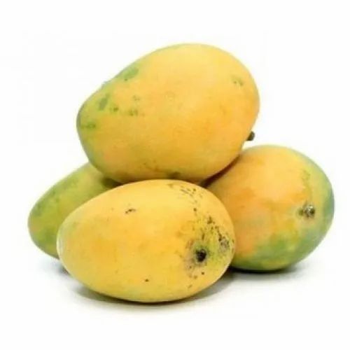 Organic Mango Banganapalli 