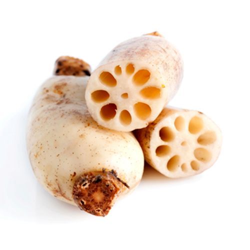 Lotus Stem