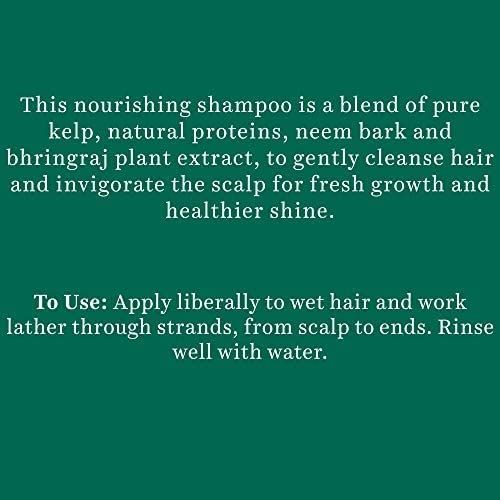 Biotique Ocean Kelp Anti Hair Fall Shampoo 340 ml Combo