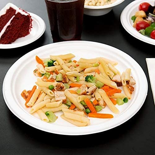 Vinay Trading Bio-Degradable Bagasse Plates – 25 cm