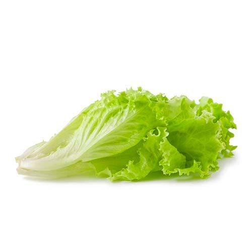 Lettuce Green 100 g Combo