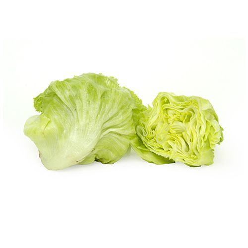 Lettuce Iceberg Loose