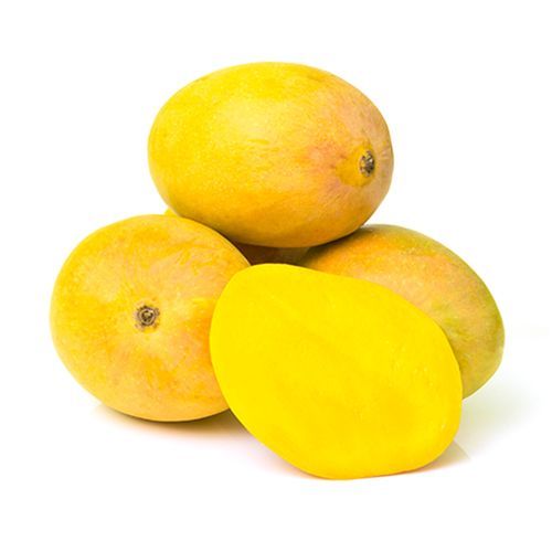 Mango Alphonso
