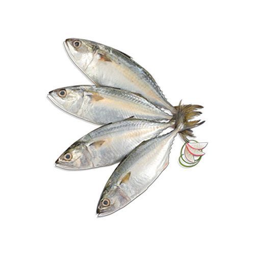 Pescafresh Mackerel / Bangda Skin On Fillets