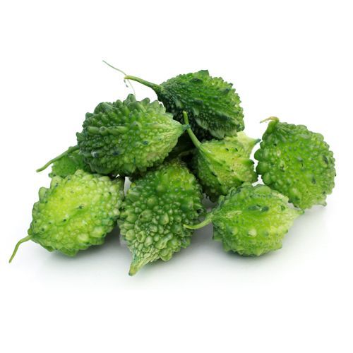 Forest Bitter Gourd
