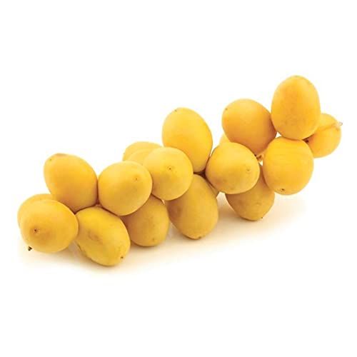 Fresh Dates Yellow