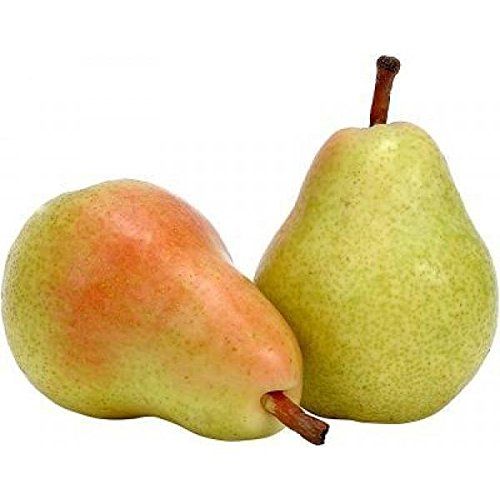 Indian Pear