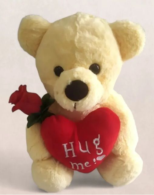 Sterling Hug Me Teddy | 30 Cm - Assorted Colour & Design