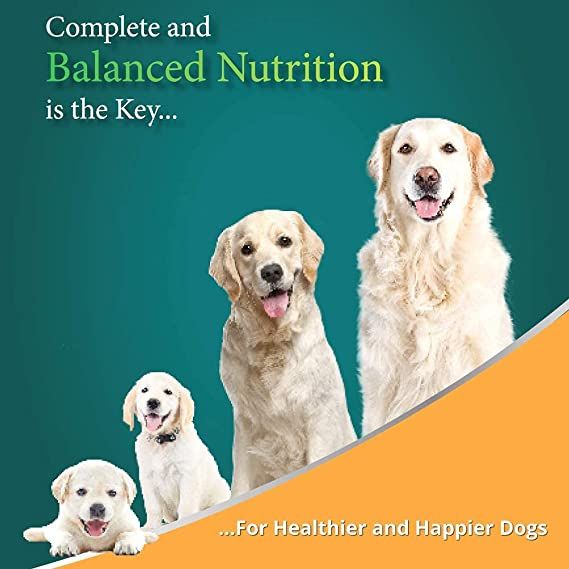 Himalaya Healthy Pet Food Adult Meat And Rice