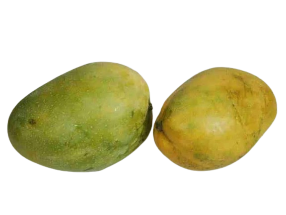 Mango Himampasand