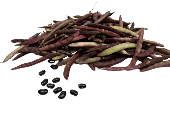 Beans Rajma Black