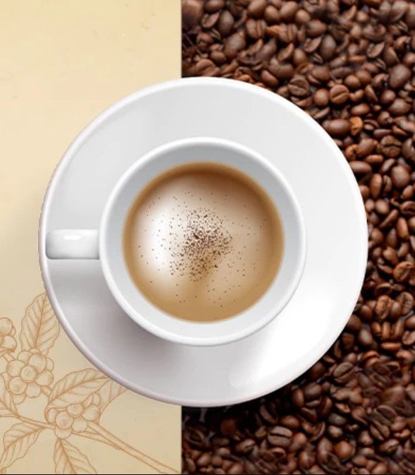 Leo Ultimate Instant Coffee 100% Pure Pouch