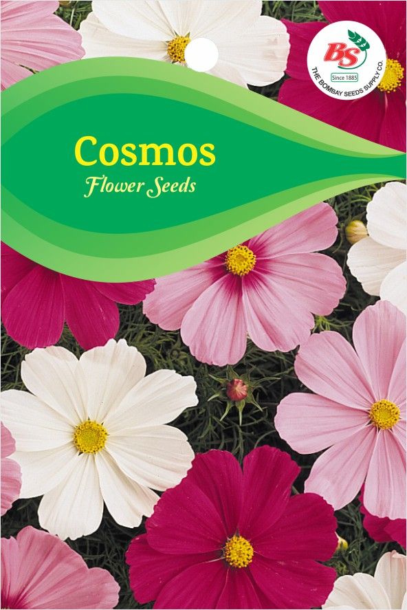 Cosmos Mixed Kgp Seeds