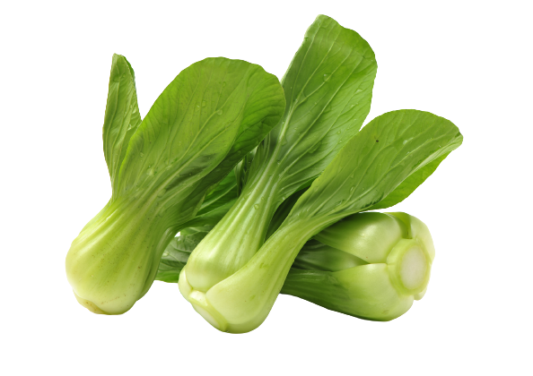 Pak Choi