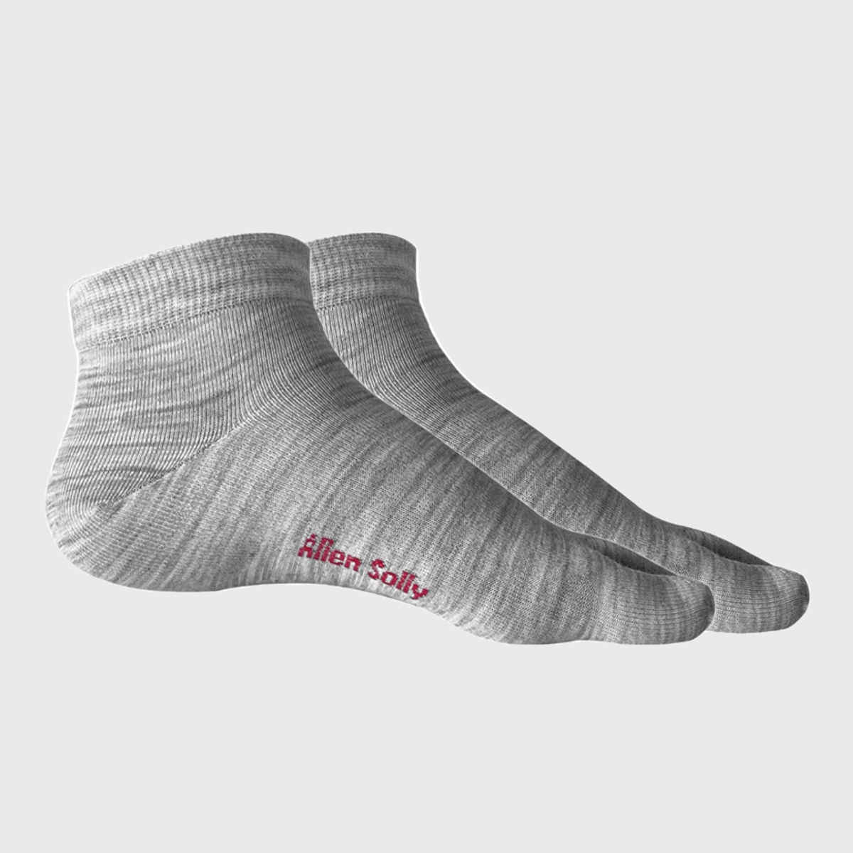 Allen Solly Women's Woolen Ankle Length Plain Thumb Socks - Light Grey Melange
