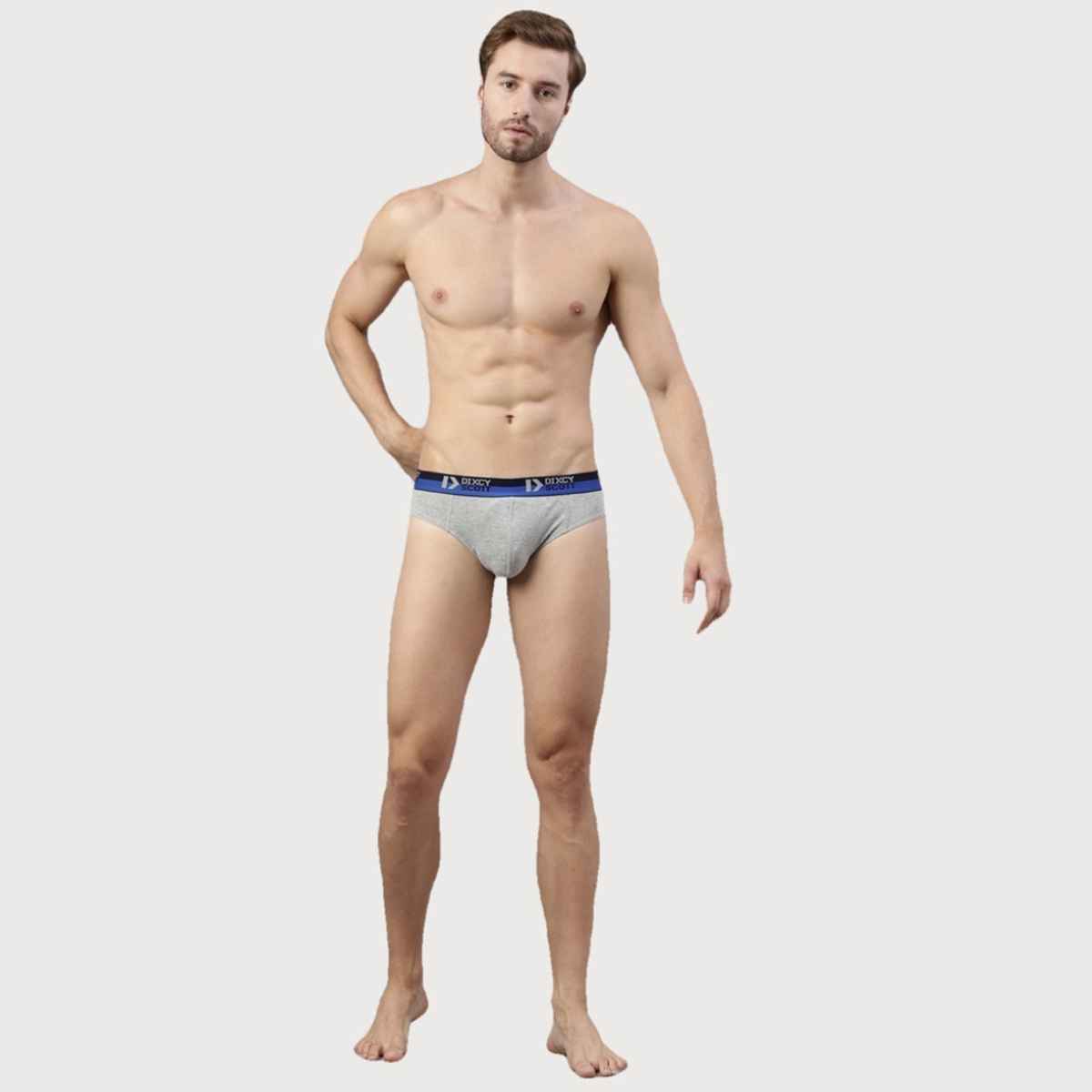 Dixcy Scott Men's Solid 100% Combed Cotton |Outer Elastic Superior Waistband Brief |Navy & Grey -XL