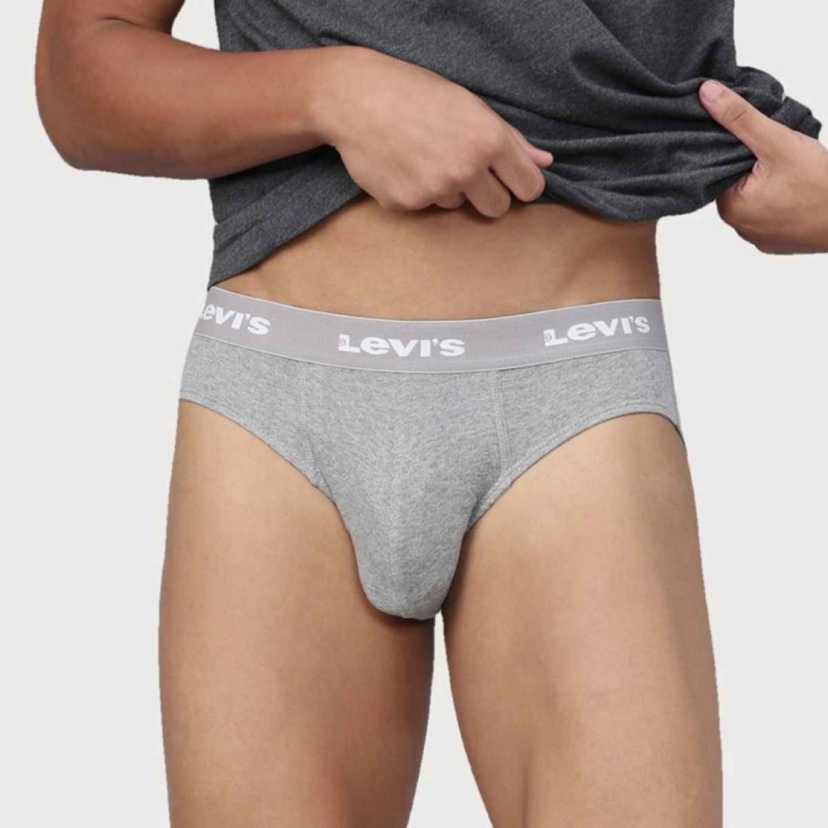 Levi's Innerwear Men's Solid Cotton Ultrasoft Waistband Brief | Light Grey and Navy - M