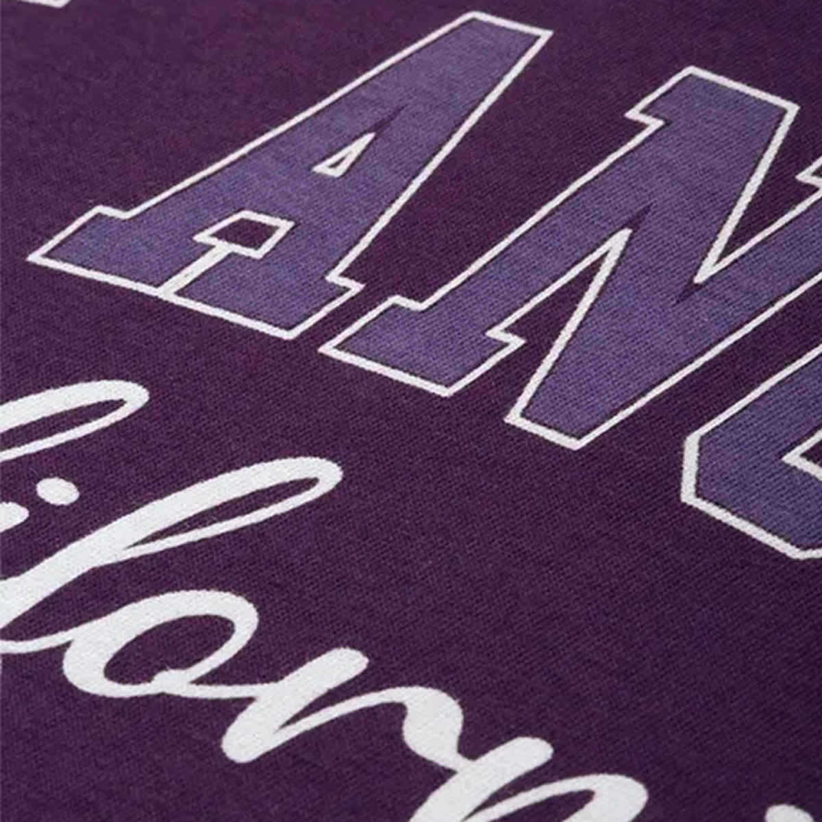 Dillinger Women's T-shirt | LNDMK216GRL | Purple - XS