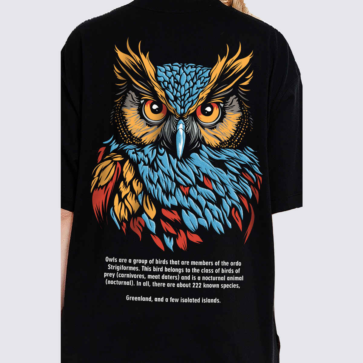 De Tees Women's Oversize Owl T-shirt | Black - L