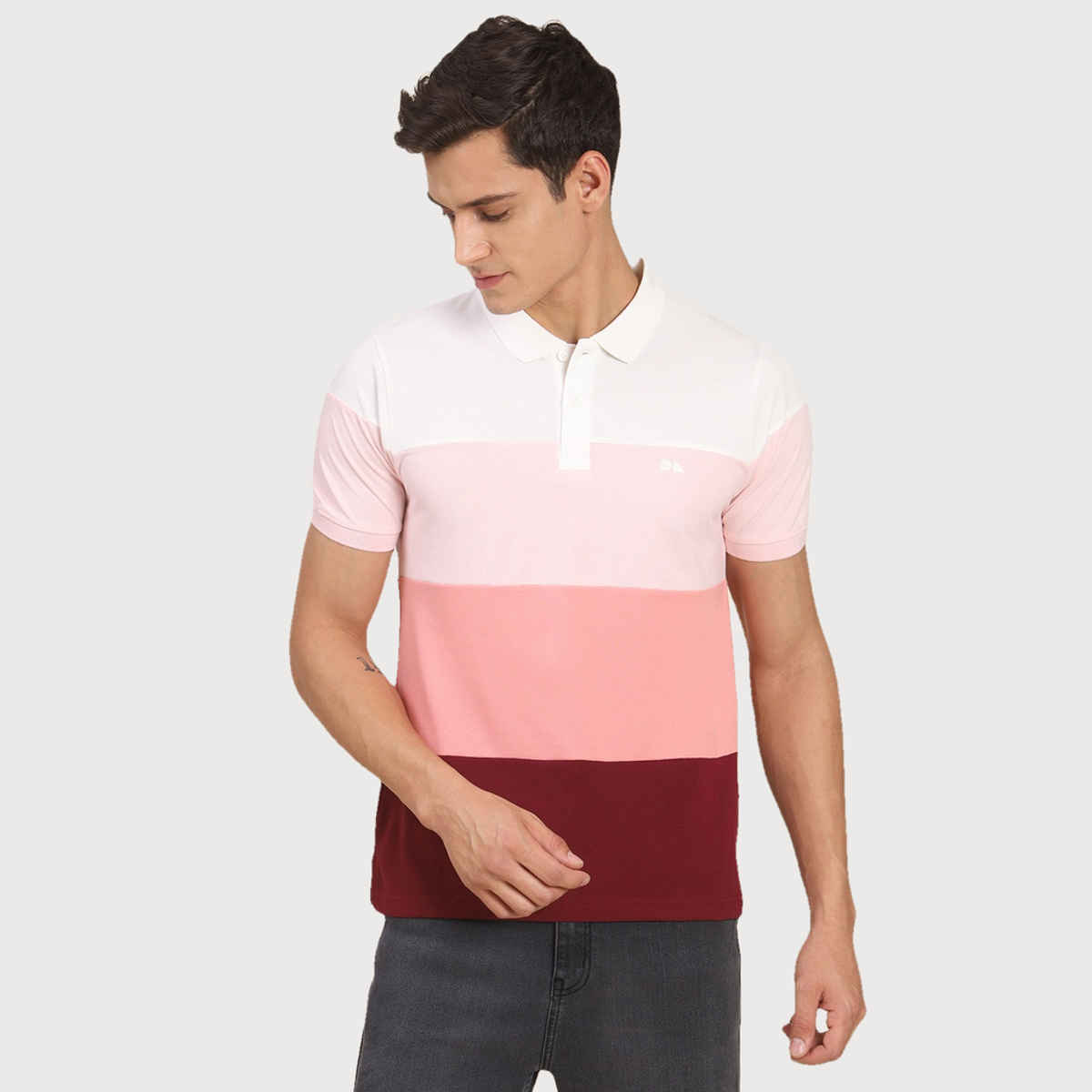 Dennis Lingo Men's Colourblocked Polo Collar Regular Fit T-shirt | Multicolor | S