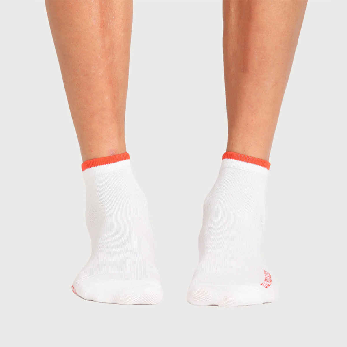 U.S. Polo Assn. | Socks Pack of 3 | Socks | ES003 | White