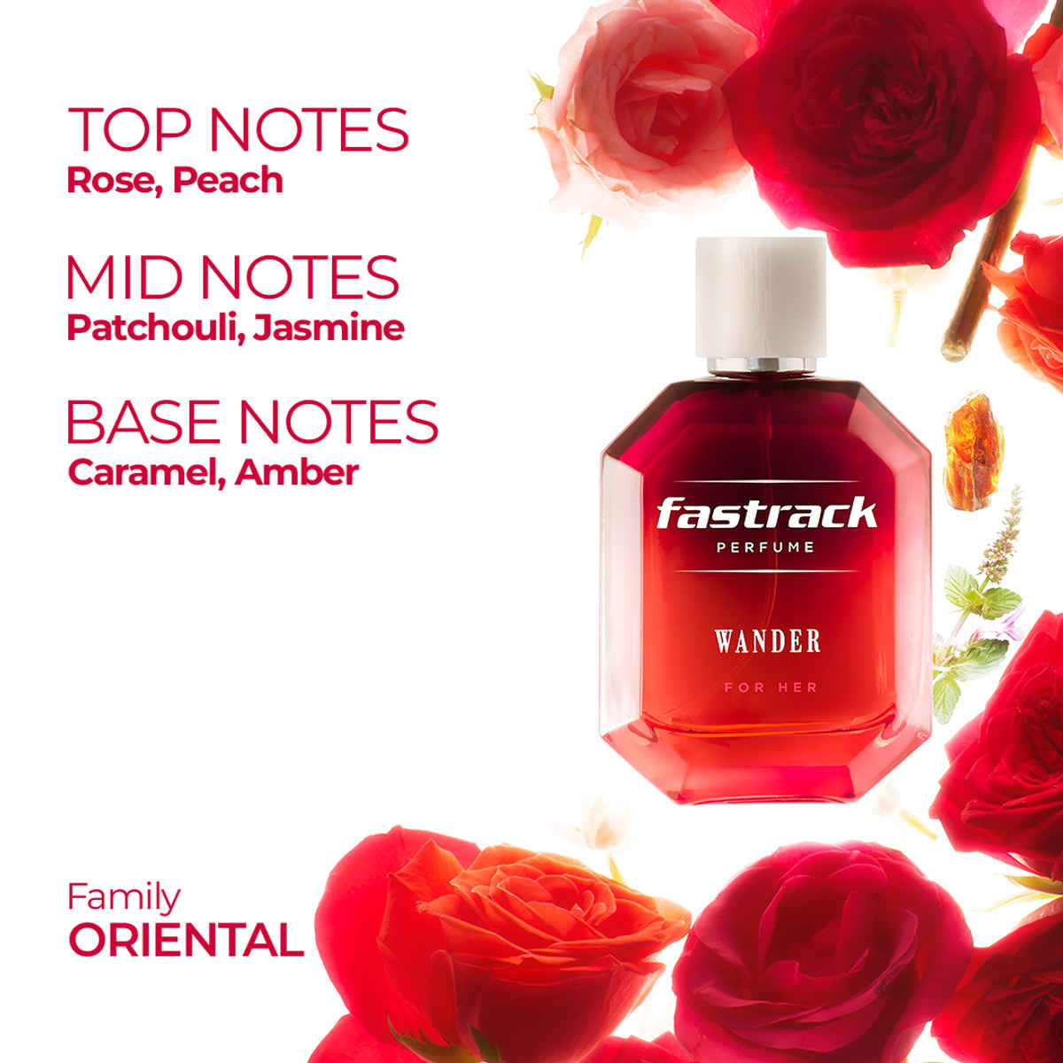 Fastrack Bags Gift Box | Wallet & Perfume Gifting