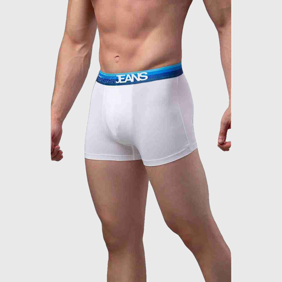Underjeans by Spykar Men's White Blue Pack of 1 Trunk | M