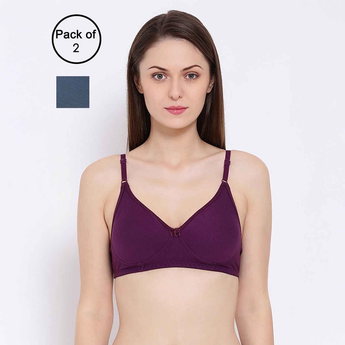 Clovia Women Non-Padded Non-Wired Full Coverage T-Shirt Bra - Blue, Lavender | 36C