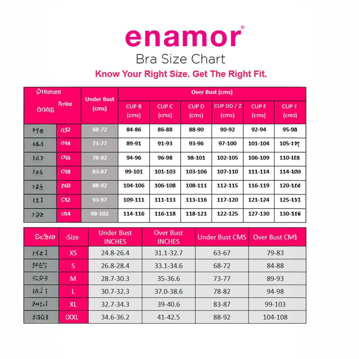 Enamor Women's AB75 Full Support Fab-Cool Cotton Bra | Non Padded | Wirefree | Purple - 34D