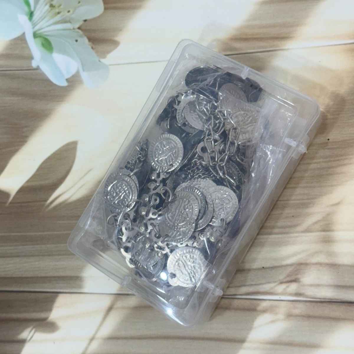 The Opal Factory Silver Oxidised Single Line Coin Kamarband