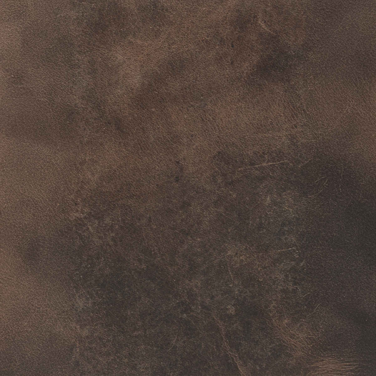 Teakwood Men's Leathers 2 Fold Wallet | Wlt339SaBrownHunter | Brown