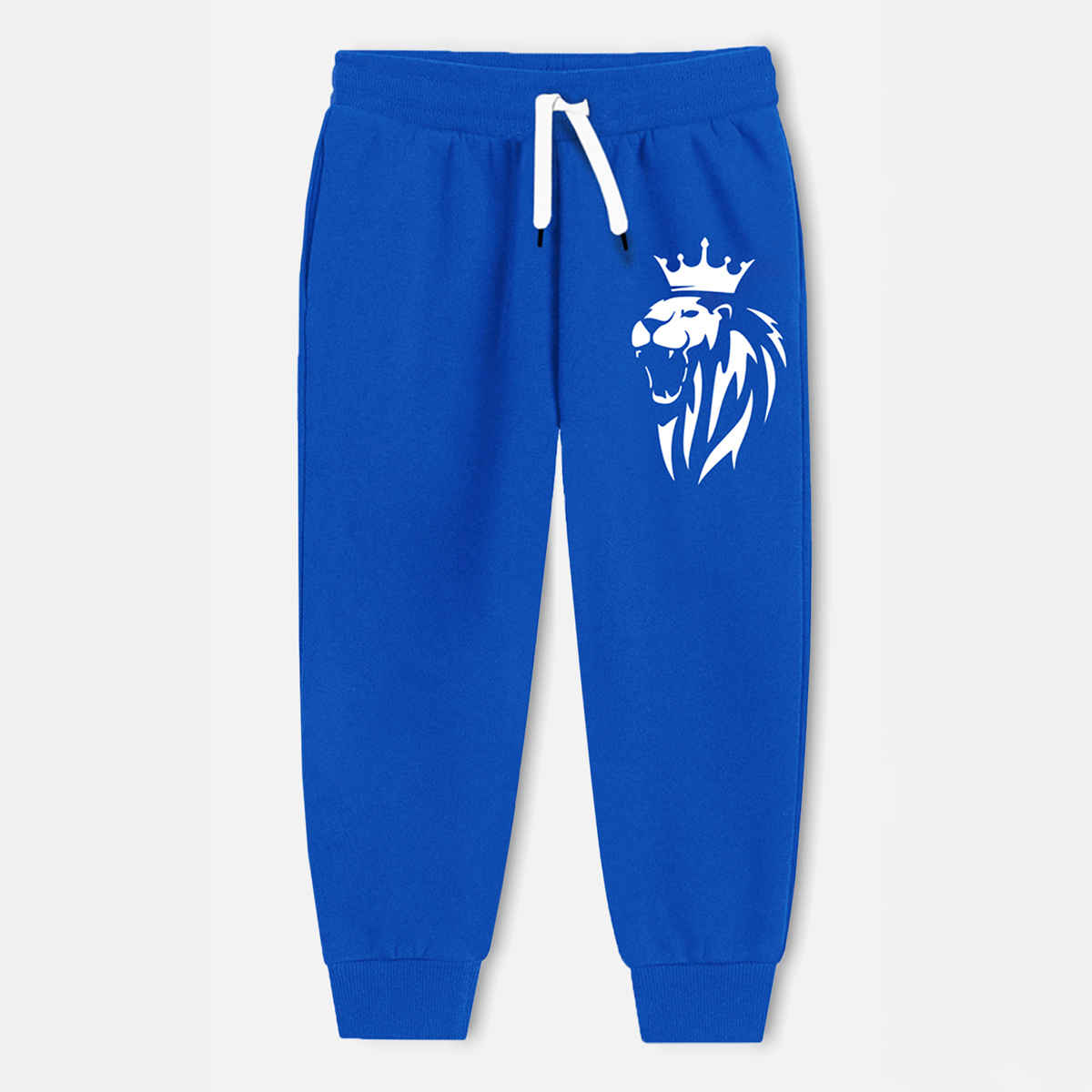 Trampoline Boy's Lion Printed T-shirt & Track Pants Set | Black & Blue | 2-3 Yrs