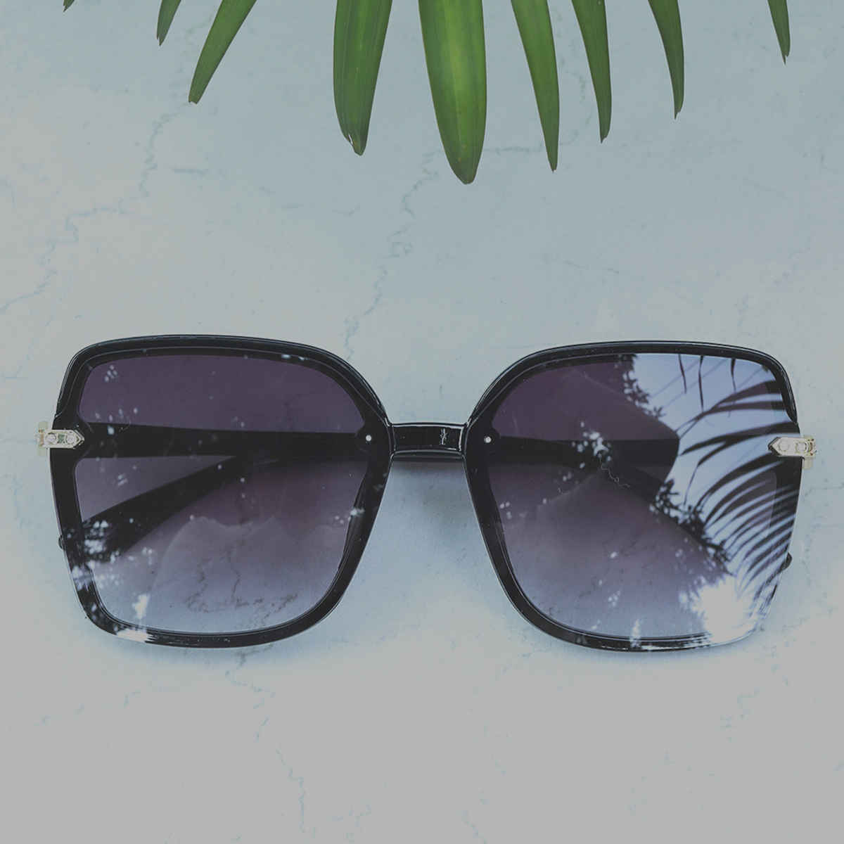 Carlton London Women UV Protected Sunglass