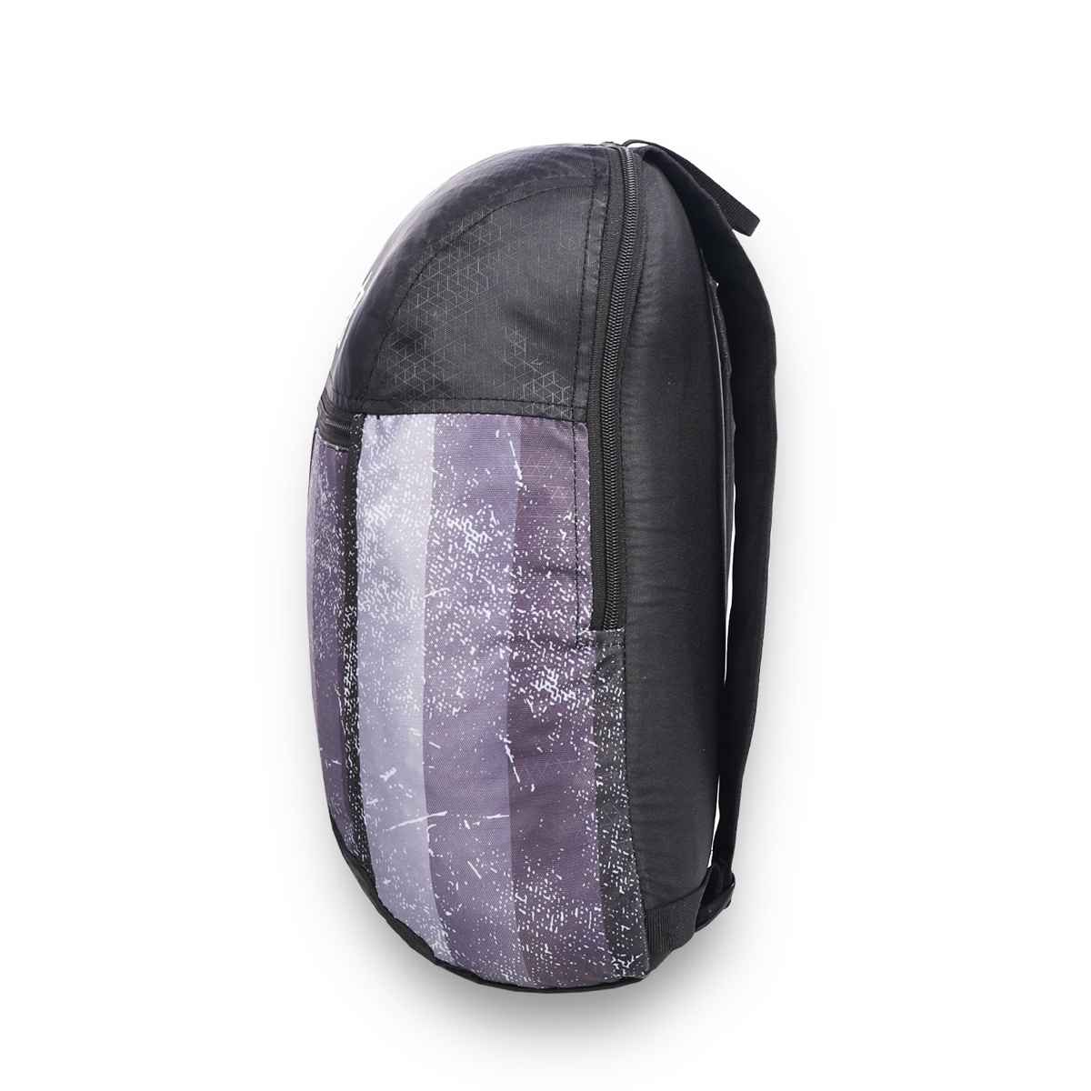 Arctic Fox Unisex Polyester 17 L Backpack | Black