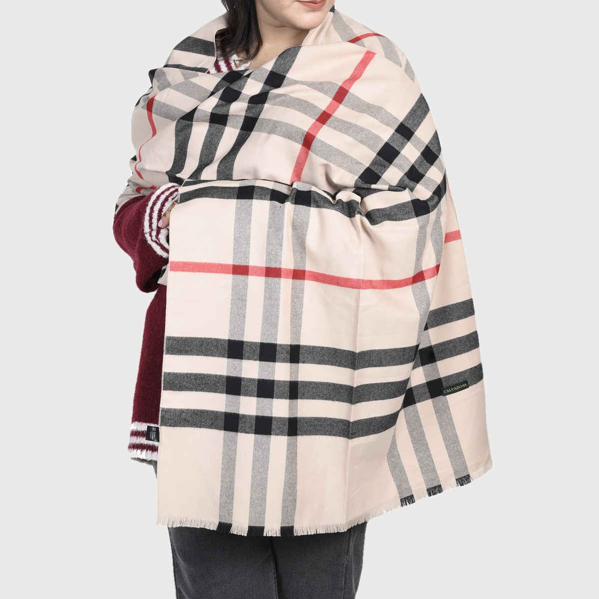 Calvadoss Women's Checked Stole With Fringed Border | Stl1542 | Multicolour