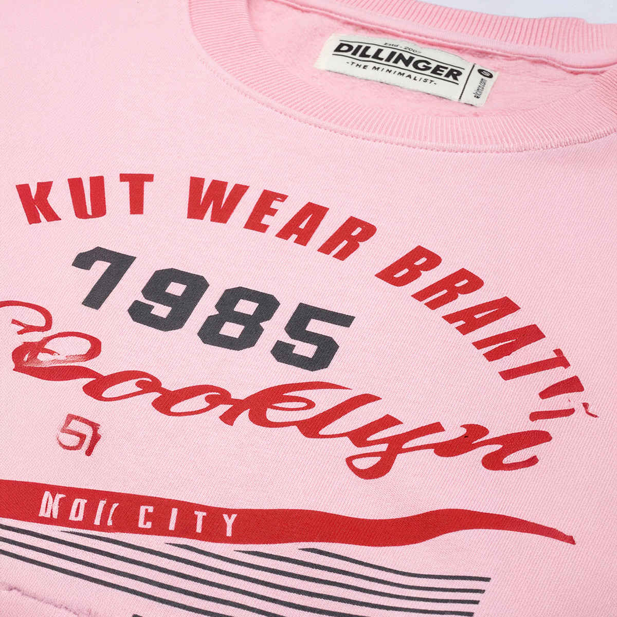 Dillinger Women's Sweatshirt | Dlwmnswt028 | Pink - XL