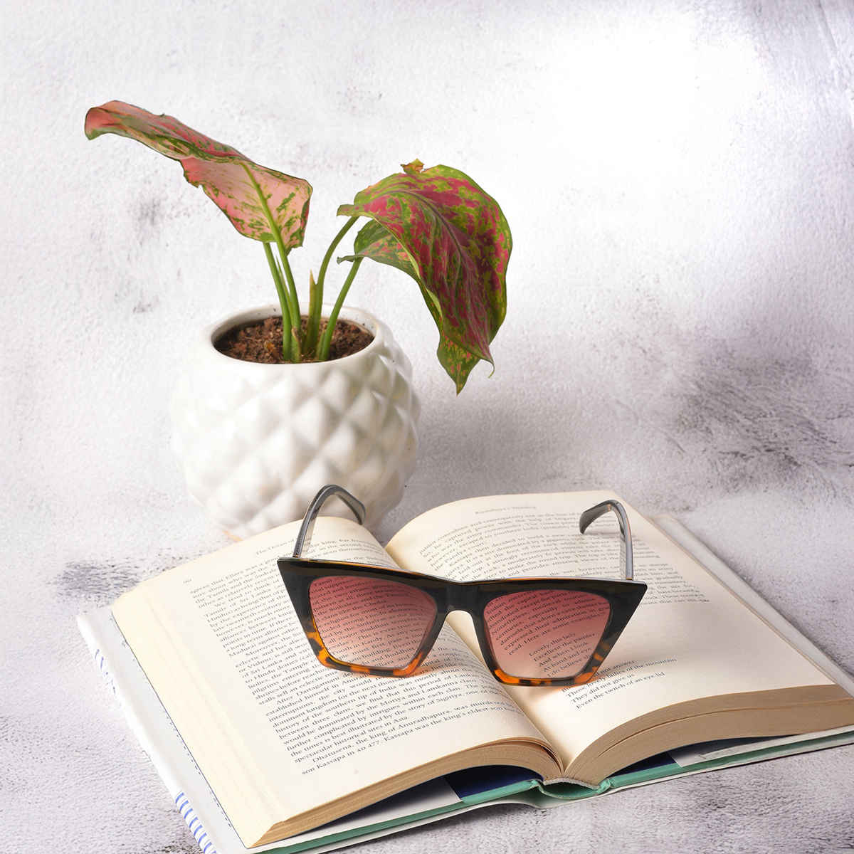 Haute Sauce Women's Polycarbonate Sunglasses | Black - One Size