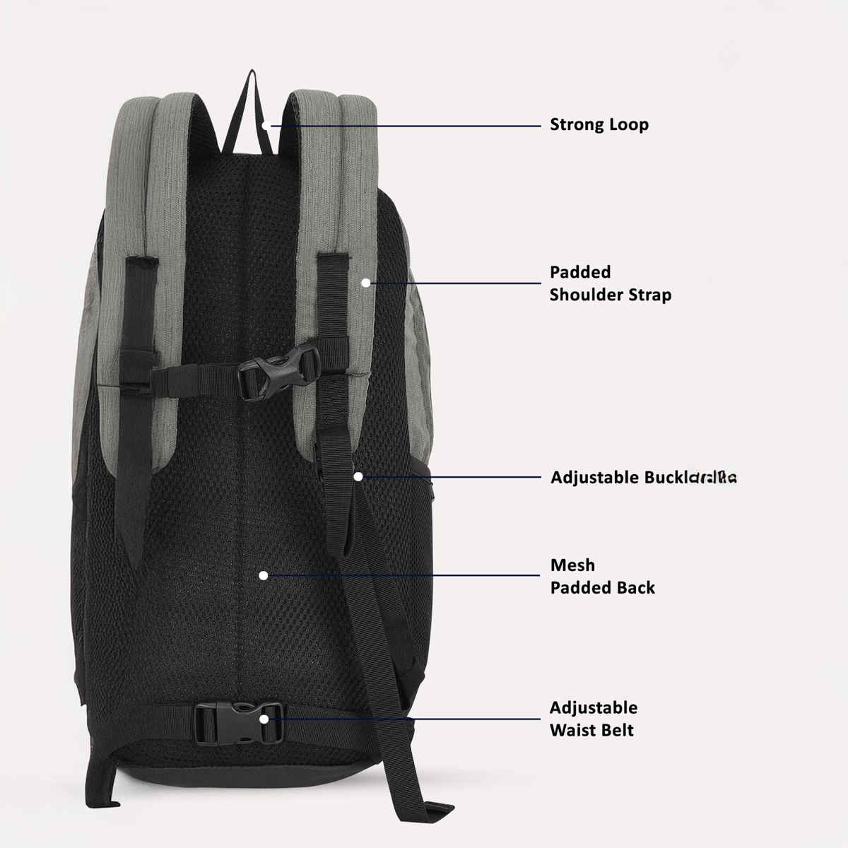 Lavie Sport 22L Edge Casual Backpack For Girls And Boys|Men & Women (Grey)