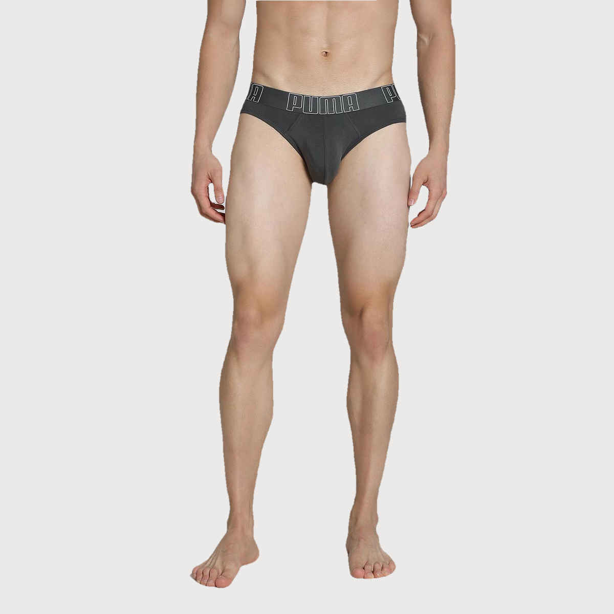Puma Supima Men's Briefs | Asphalt | XL