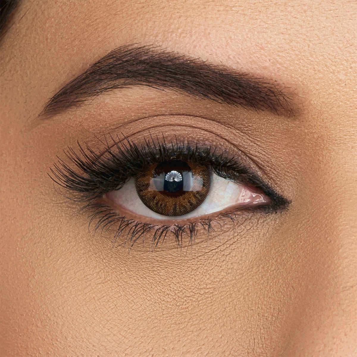 Aquacolor Candy Pack with Zero Power Daily Disposable Lens Mystery Brown